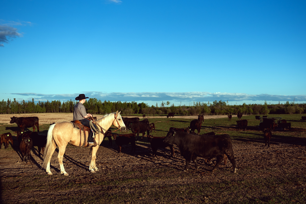 Agriculture Recruiter Outlook: The Agriculture Recruiter Search Firm