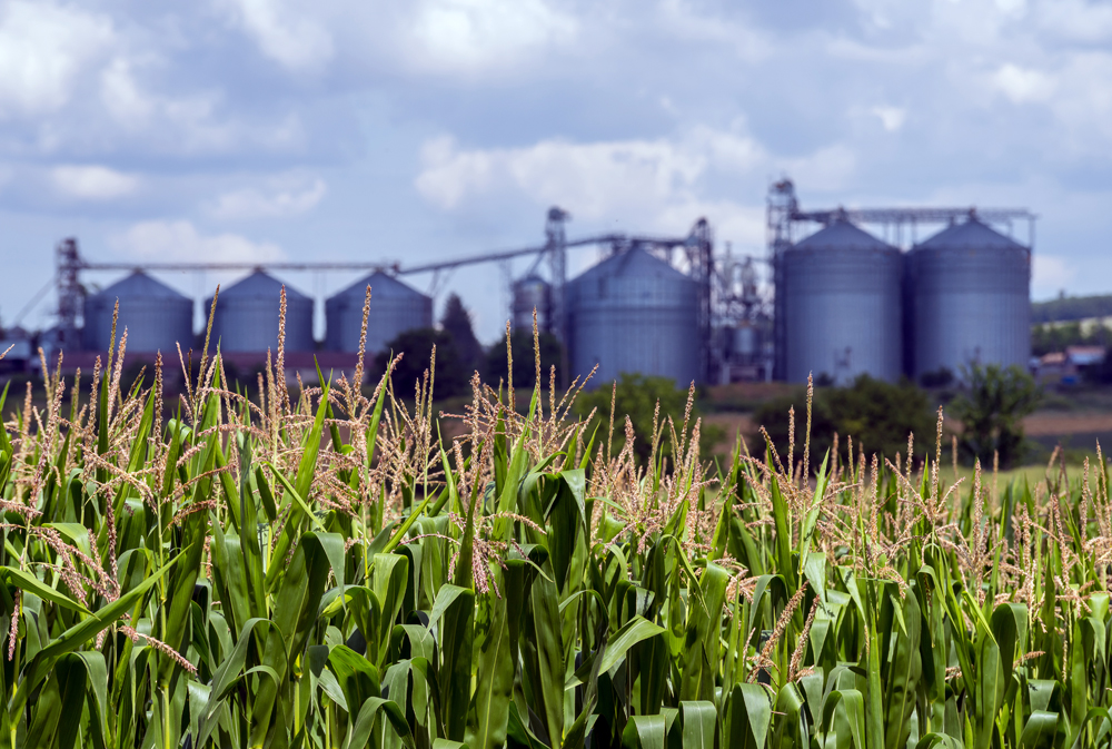 Agriculture Recruiter Process: The Agriculture Recruiter Search Firm