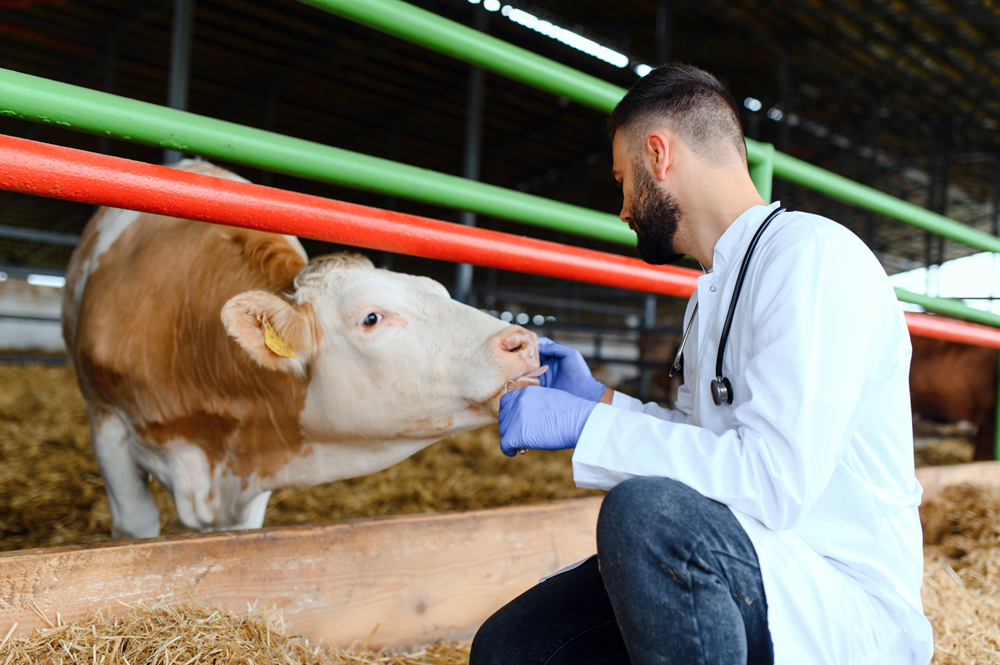 Agriculture Recruiting Insights: The Agriculture Recruiter Search Firm